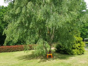 Vendredi 22 mai 2020