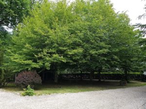 Dimanche 24 mai 2020