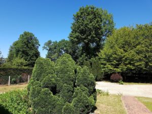 Vendredi 29 mai 2020