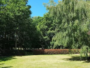 Dimanche 31 mai 2020